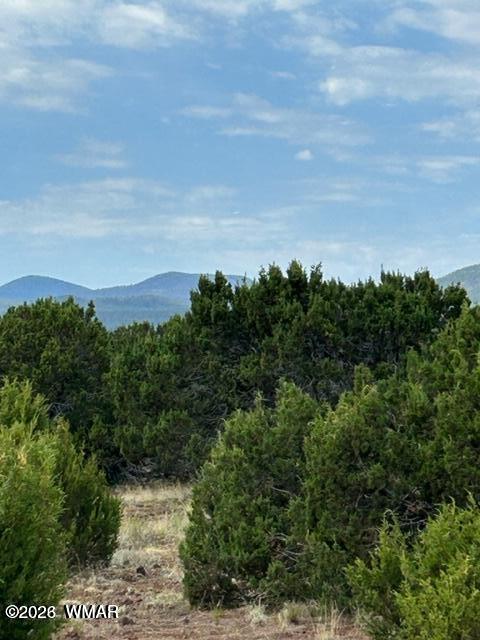 N3109 Rd Vernon Az 85940 Road Vernon, AZ 85940 - Photo 10 of 17