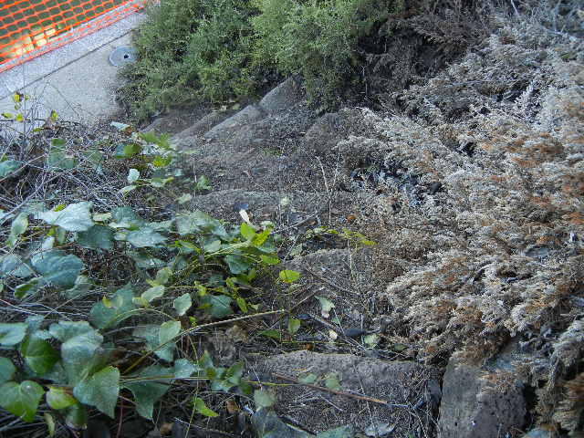 1575 Ridge Drive Redding, CA 96001 - Photo 9 of 23 DSCN4005