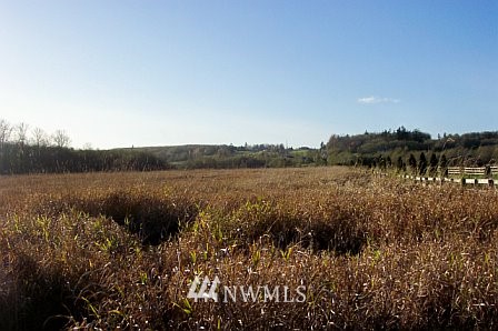 -xxx Delta Line Road Blaine, WA 98230 - Photo 1 of 1