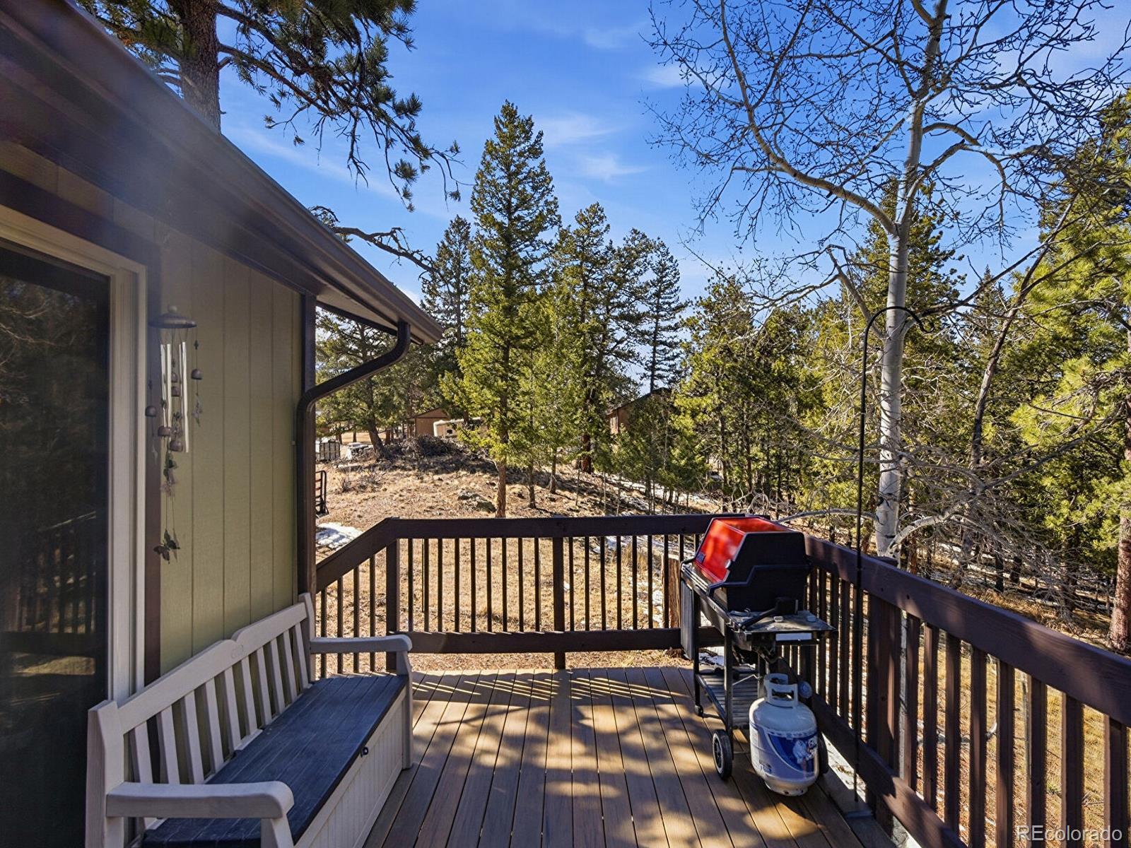 399 Conifer Drive Bailey, CO 80421 - Photo 34 of 42