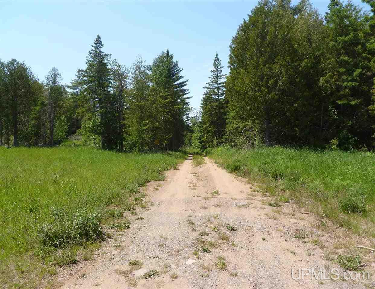 Tbd Gratiot River Road Iron Mountain, MI 49801 - Photo 10 of 11