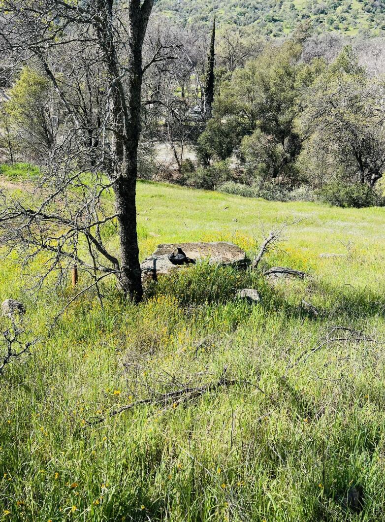 0 North Kaweah River Drive Three Rivers, CA 93271 - Photo 44 of 78 Screen Shot 2023-04-09 at 10.54.03 AM
