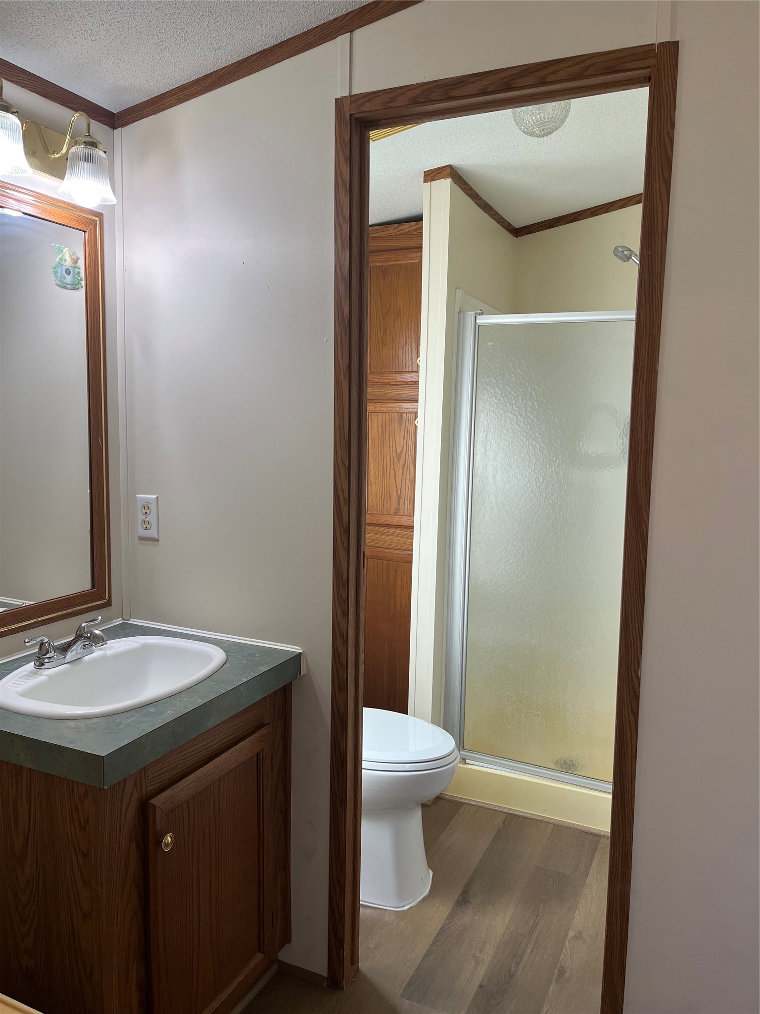 12804 Royal Springs Road Conroe, TX 77303 - Photo 10 of 20 primary shower