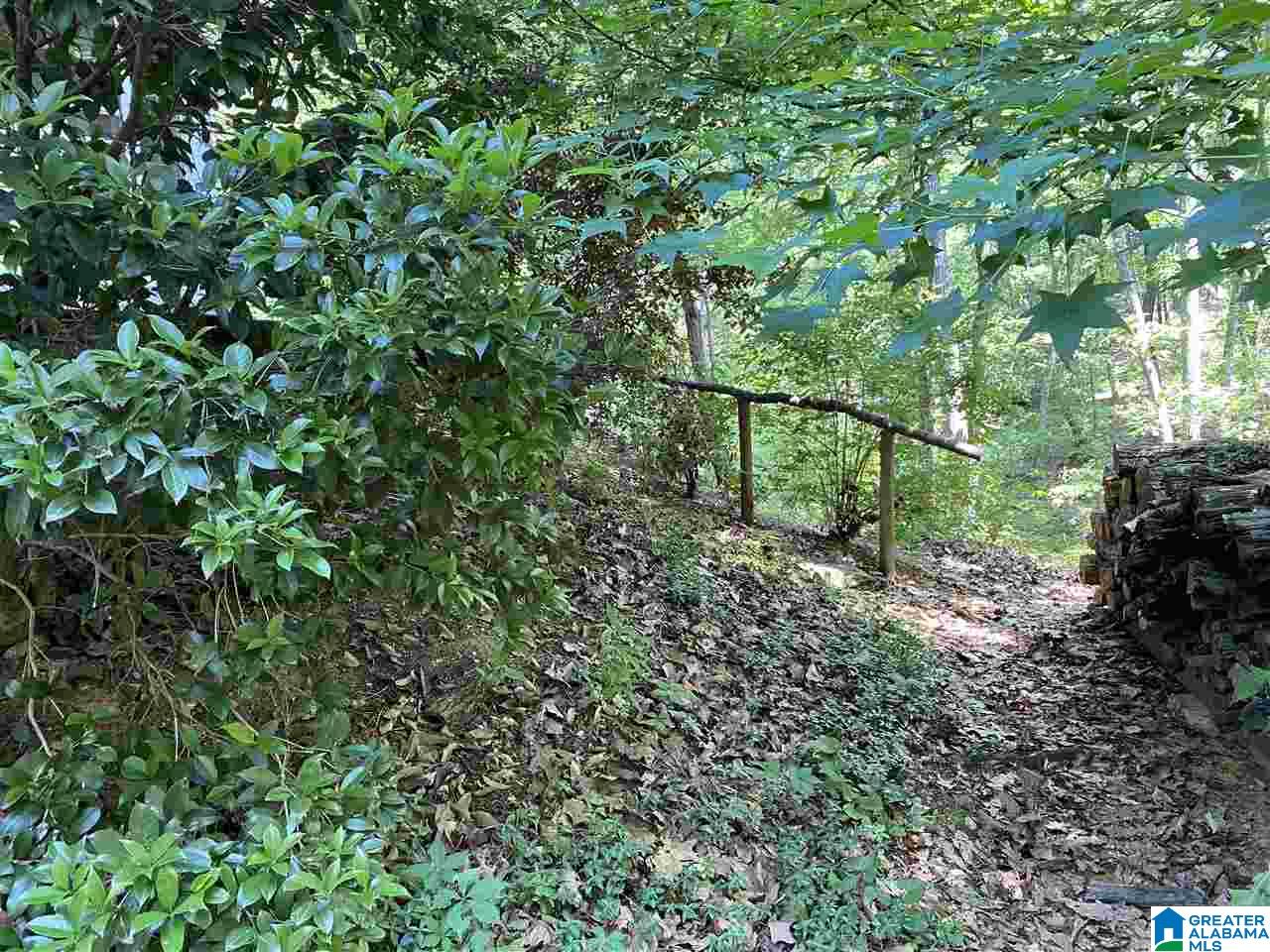 1261 Ferry Road Columbiana, AL 35051 - Photo 3 of 24