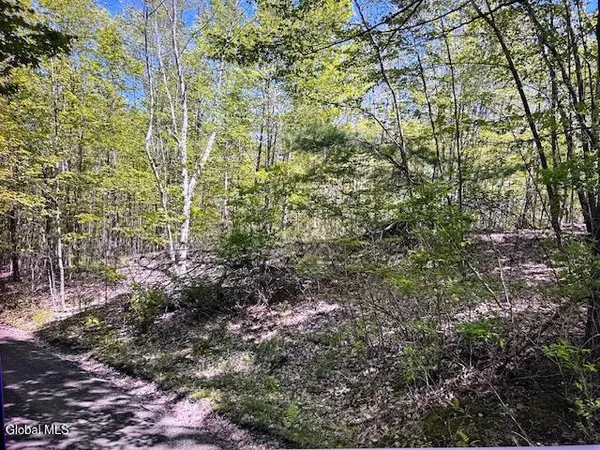 $32,000 | L28 Koster Way, Salem, NY 12865