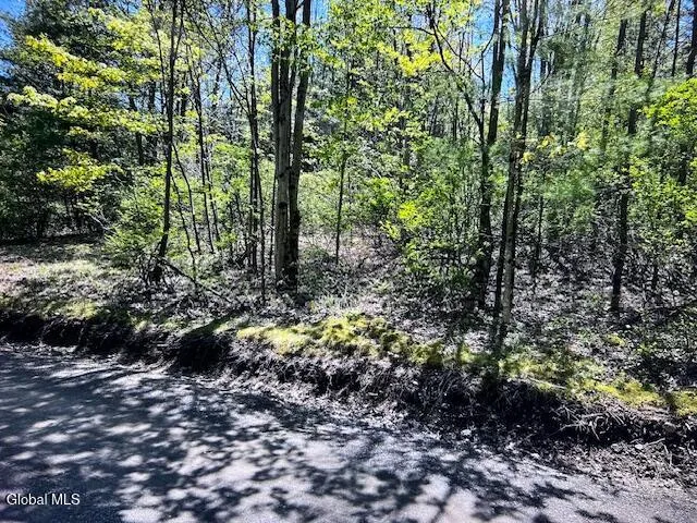 $32,000 | L28 Koster Way, Salem, NY 12865