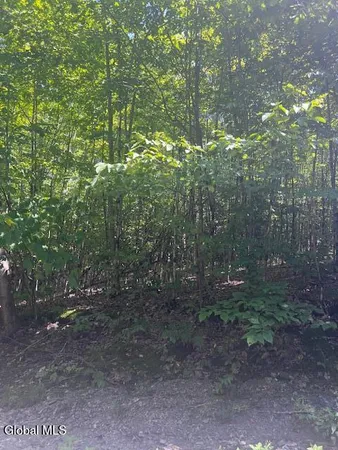 $32,000 | L28 Koster Way, Salem, NY 12865