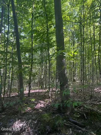 $32,000 | L28 Koster Way, Salem, NY 12865