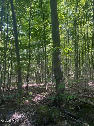 $32,000 | L28 Koster Way, Salem, NY 12865