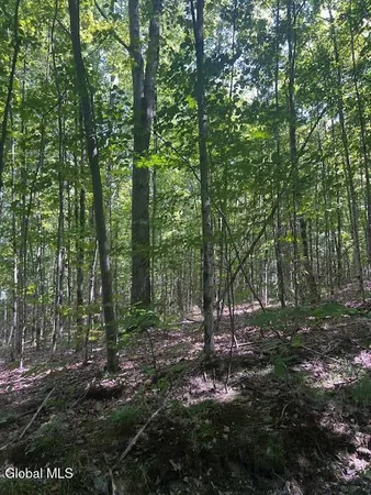 $32,000 | L28 Koster Way, Salem, NY 12865