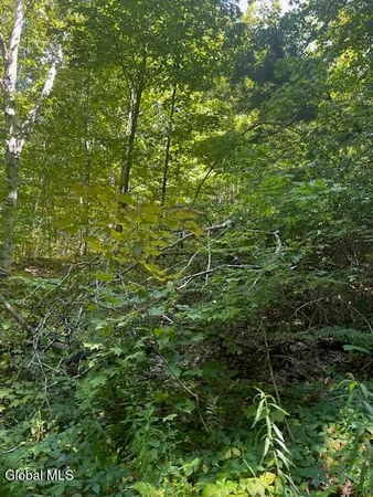 $32,000 | L28 Koster Way, Salem, NY 12865