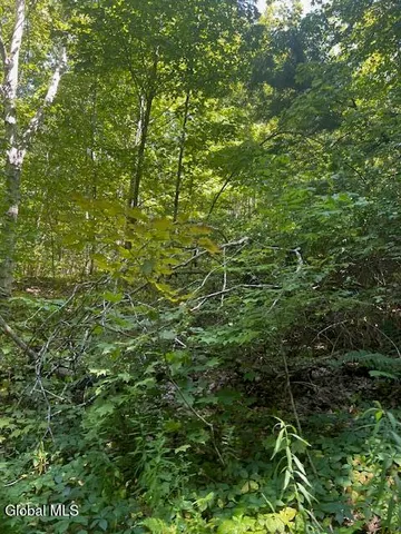 $32,000 | L28 Koster Way, Salem, NY 12865