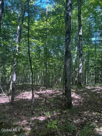 $32,000 | L28 Koster Way, Salem, NY 12865