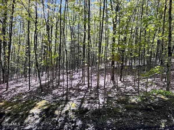 $32,000 | L28 Koster Way, Salem, NY 12865