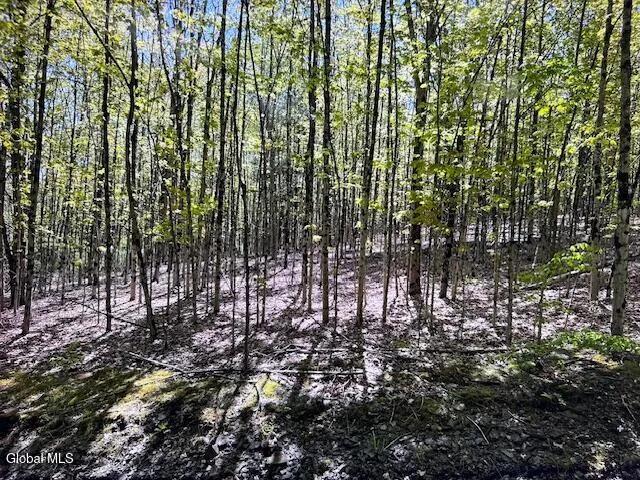 $32,000 | L28 Koster Way, Salem, NY 12865