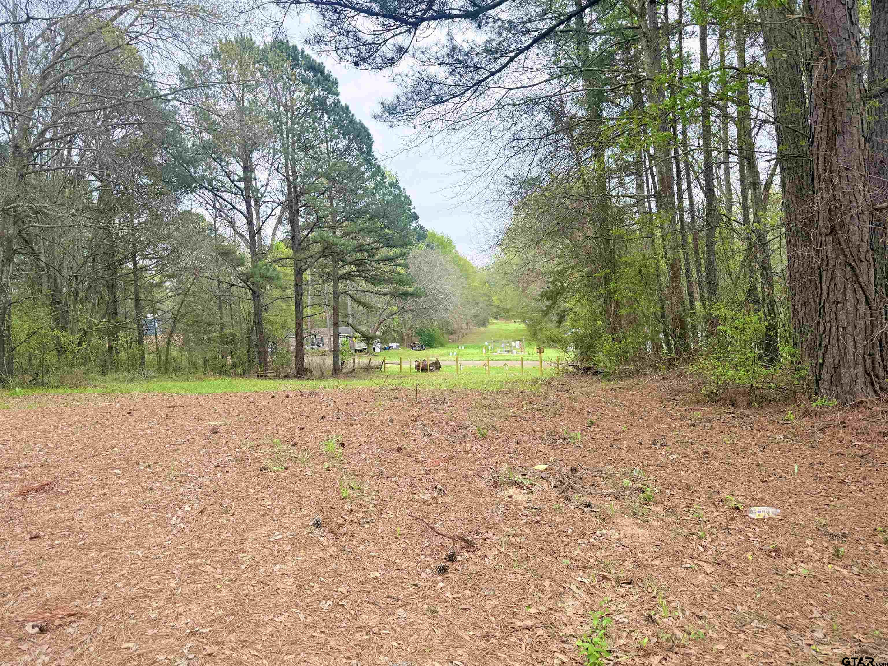 10933 County Road 384 Tyler, TX 75708 - Photo 6 of 8 a view of a yard with plants and trees