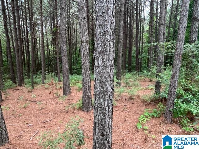 0 County Road 92, Unit X Graham, AL 36263 - Photo 11 of 13