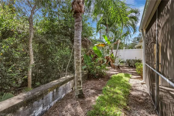 a view of a yard with plants and a bench