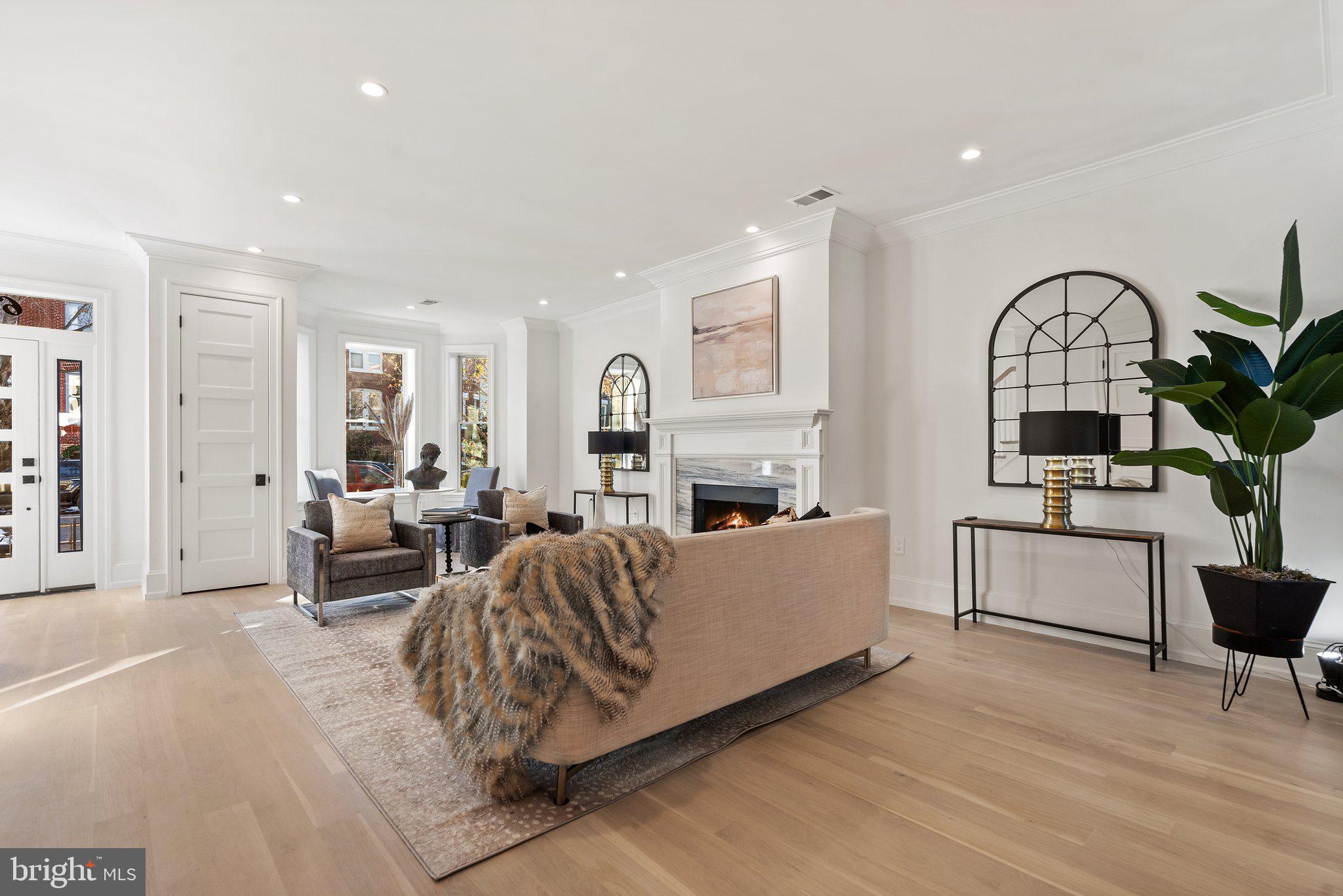 634 F Street Northeast Washington, DC 20002 - Photo 6 of 57 a living room with furniture a fireplace and a potted plant