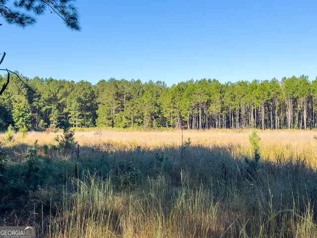 a view of a lake with a yard
