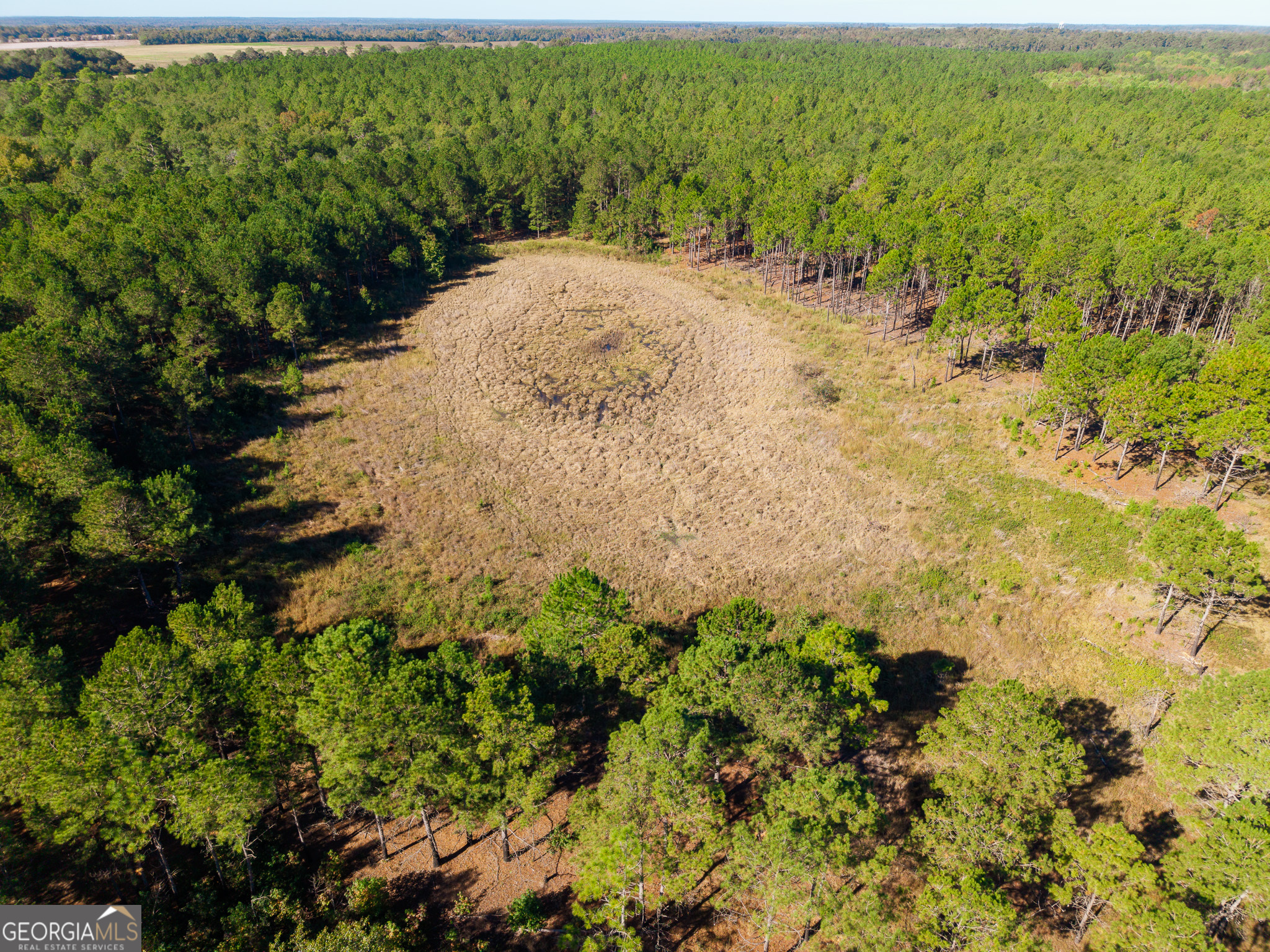 0 Penn Lane Waynesboro, GA 30830 - Photo 11 of 31 a view of a field with a tree
