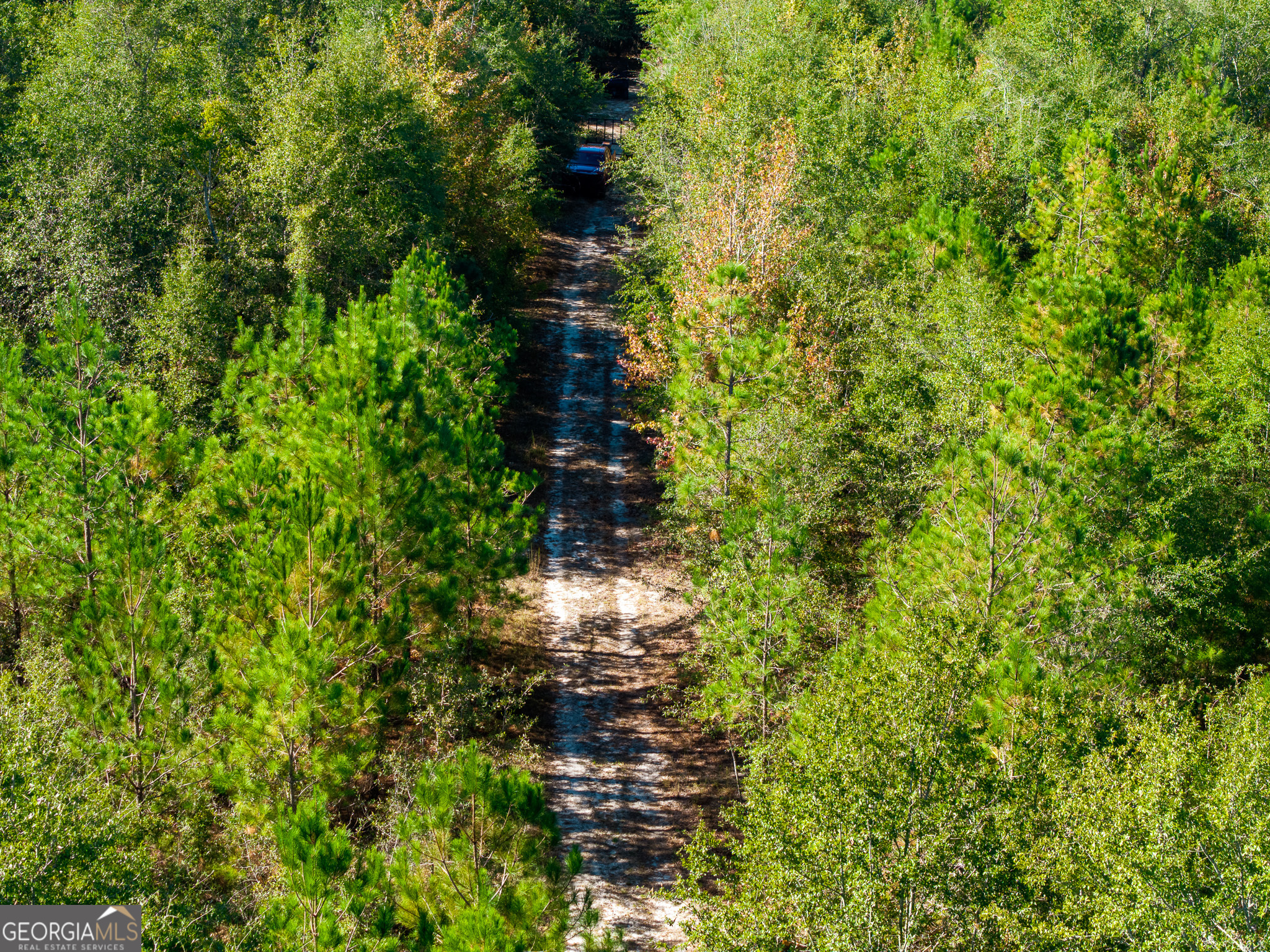 0 Penn Lane Waynesboro, GA 30830 - Photo 12 of 31 a view of a plants of a house