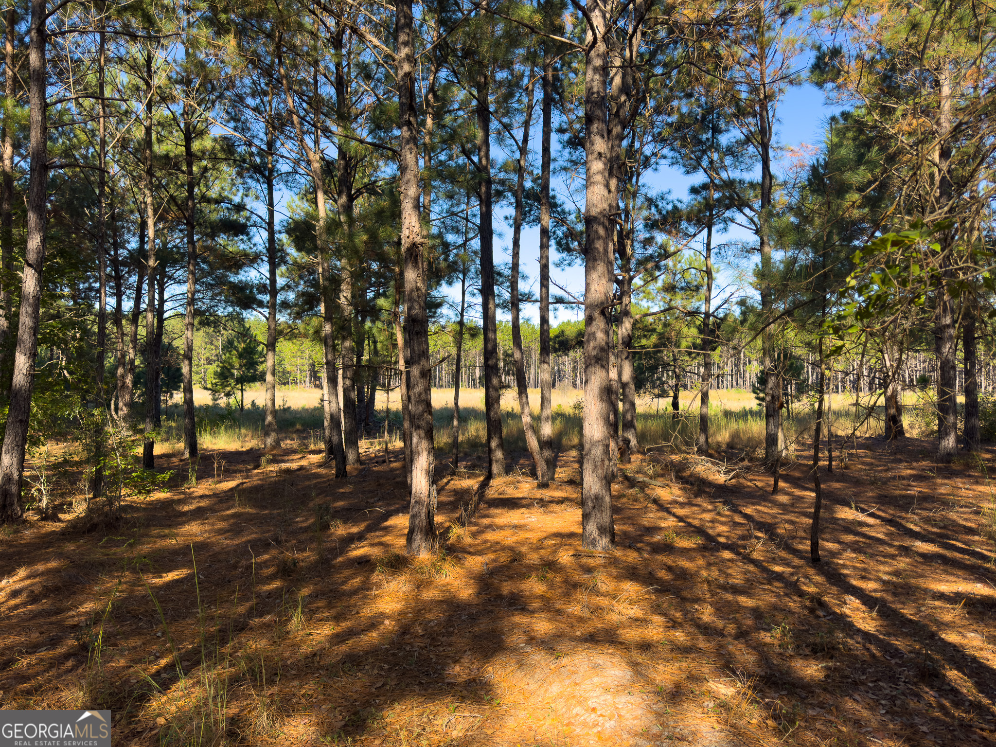 0 Penn Lane Waynesboro, GA 30830 - Photo 14 of 31