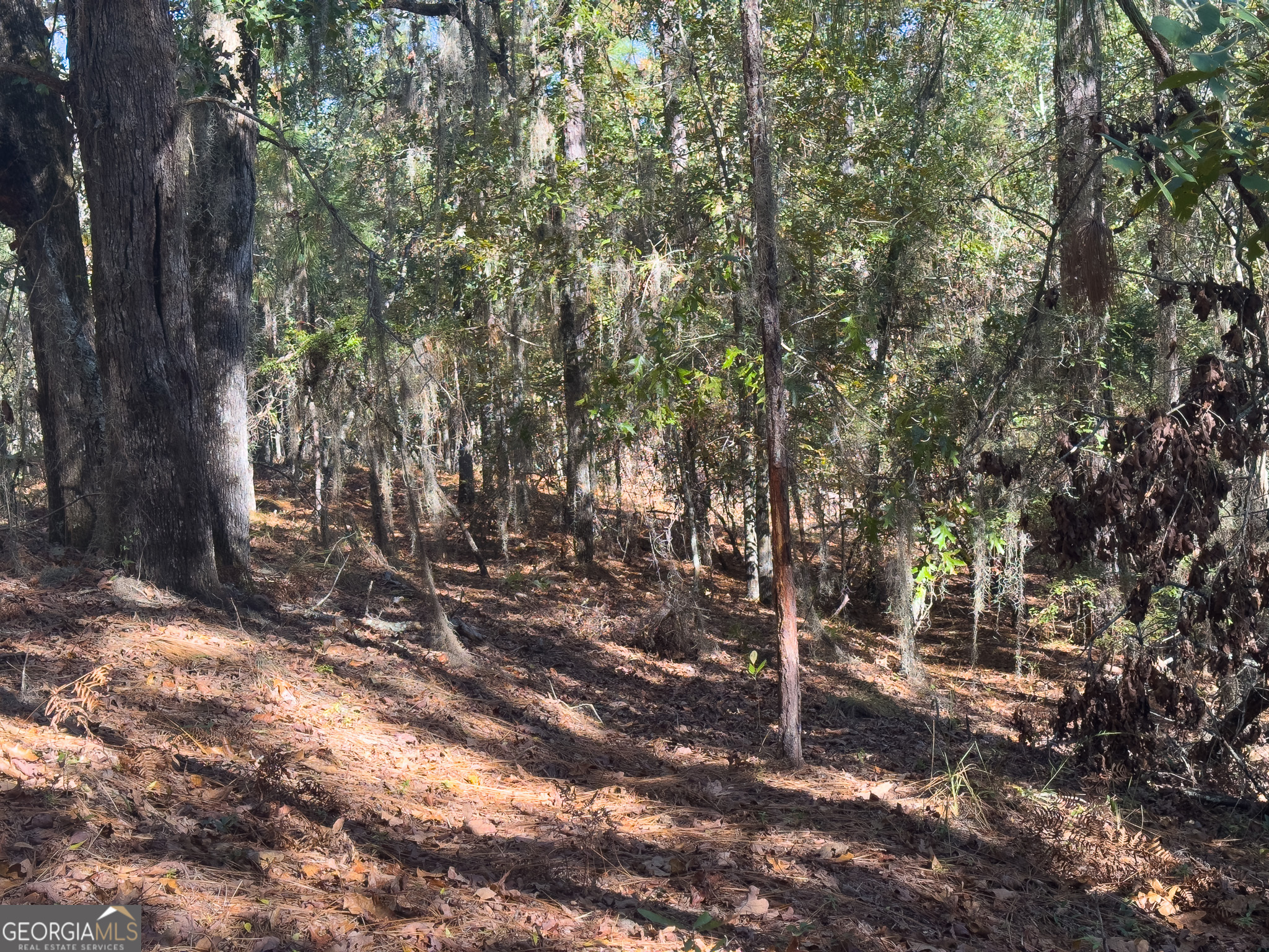 0 Penn Lane Waynesboro, GA 30830 - Photo 20 of 31 a backyard of a house with lots of green space
