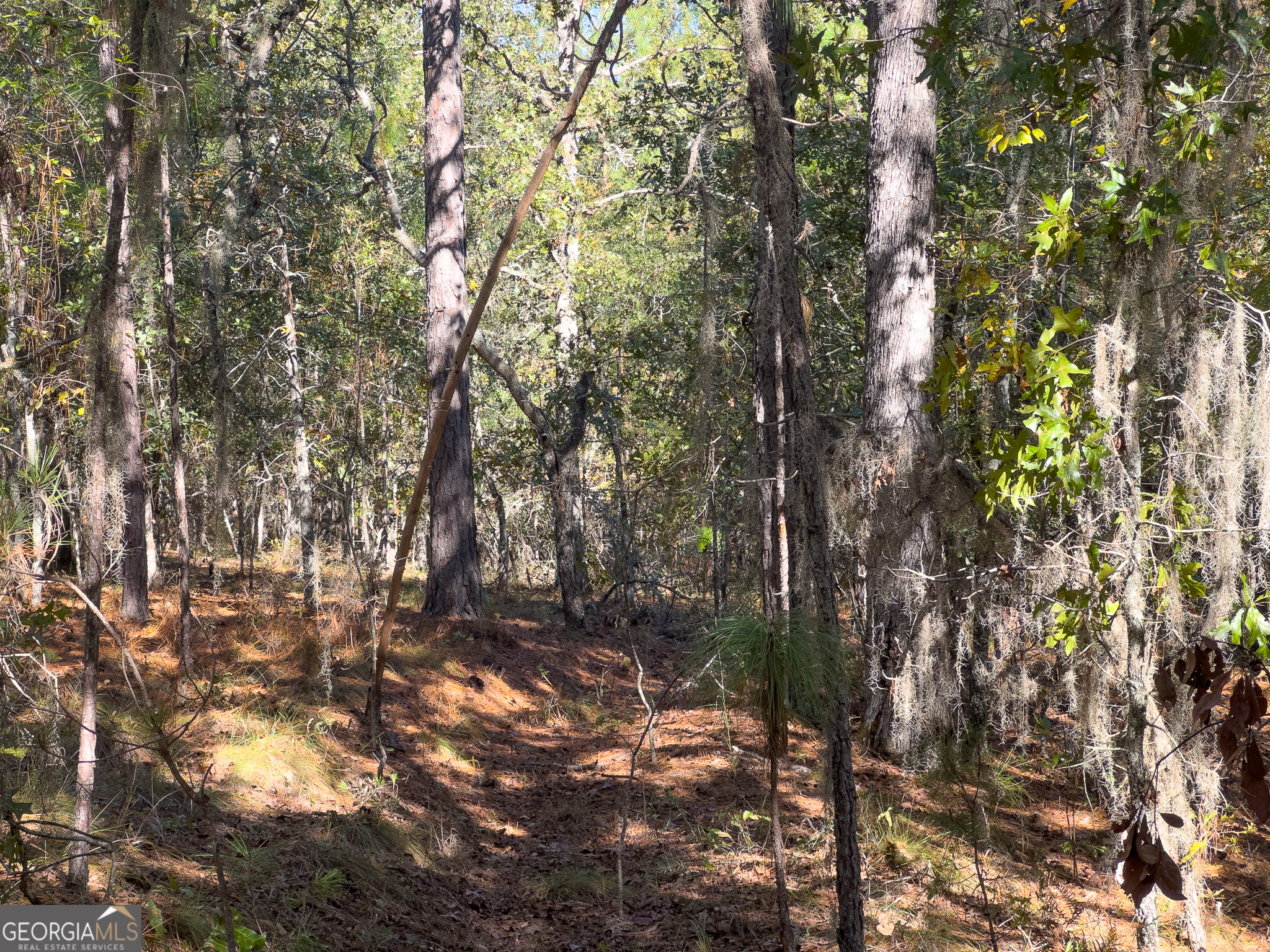 0 Penn Lane Waynesboro, GA 30830 - Photo 21 of 31 a view of tree