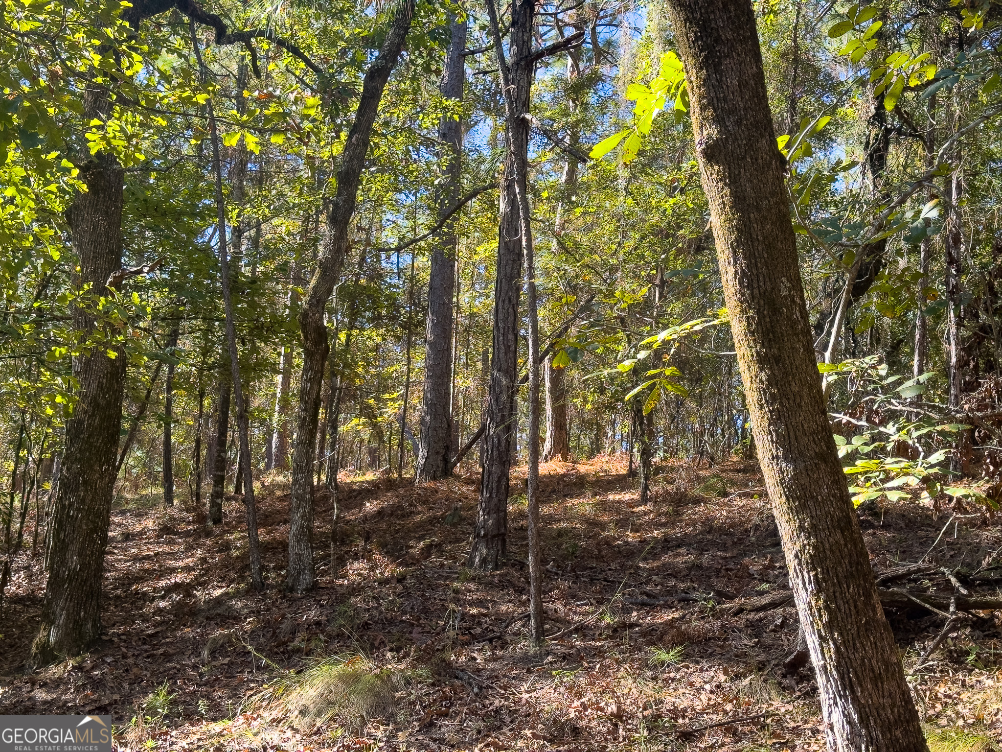 0 Penn Lane Waynesboro, GA 30830 - Photo 22 of 31 a backyard of a house with lots of green space