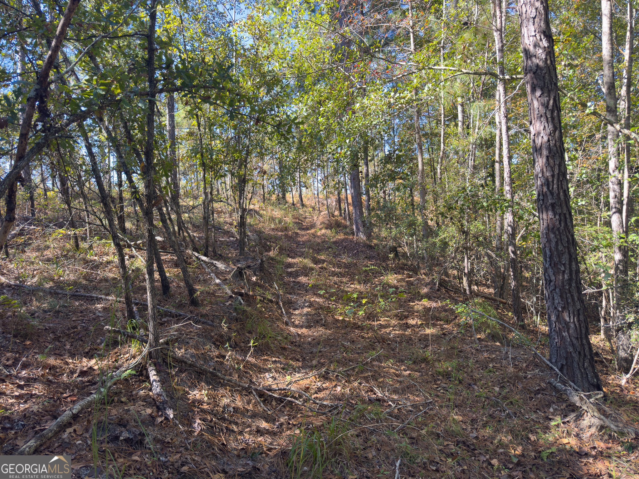 0 Penn Lane Waynesboro, GA 30830 - Photo 29 of 31 a view of forest