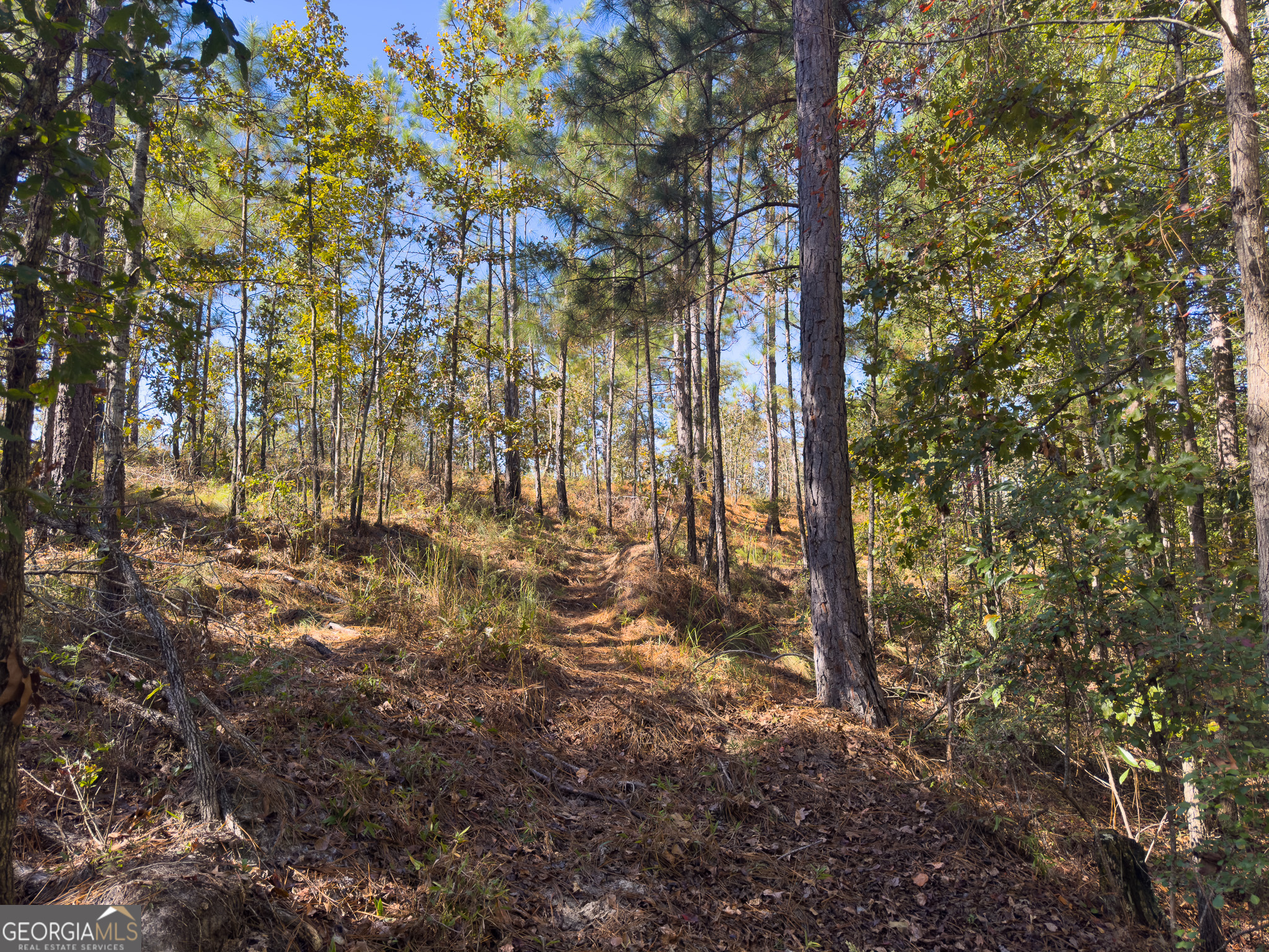 0 Penn Lane Waynesboro, GA 30830 - Photo 30 of 31 a view of yard
