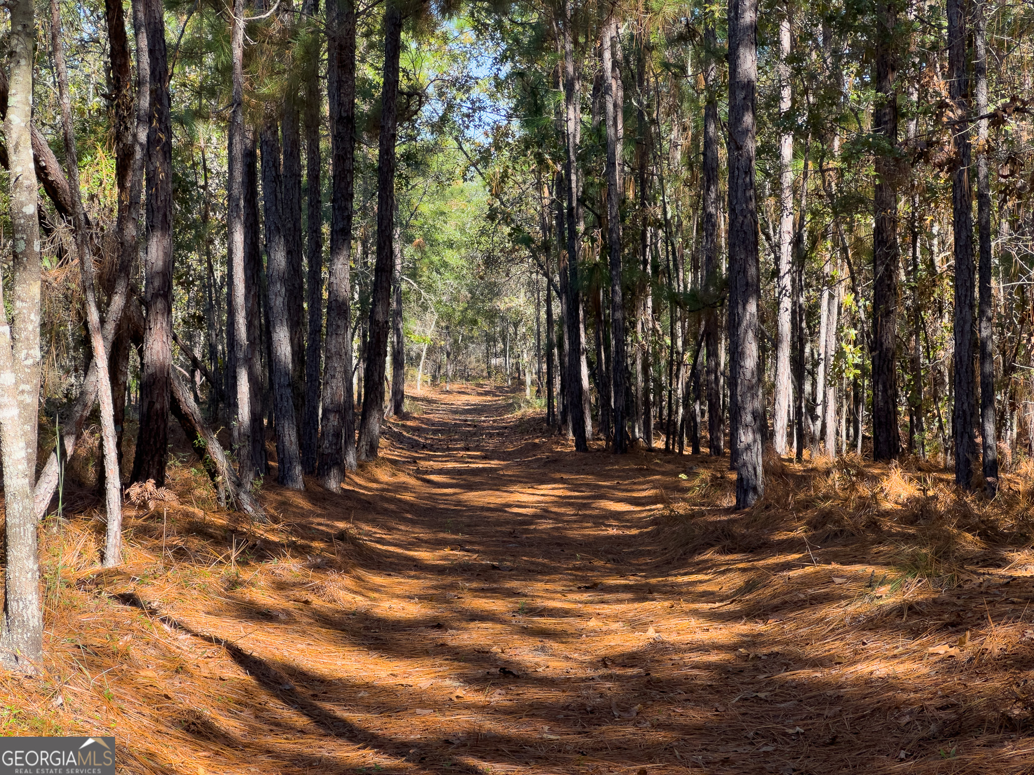 0 Penn Lane Waynesboro, GA 30830 - Photo 4 of 31 a view of a house with yard and tree s