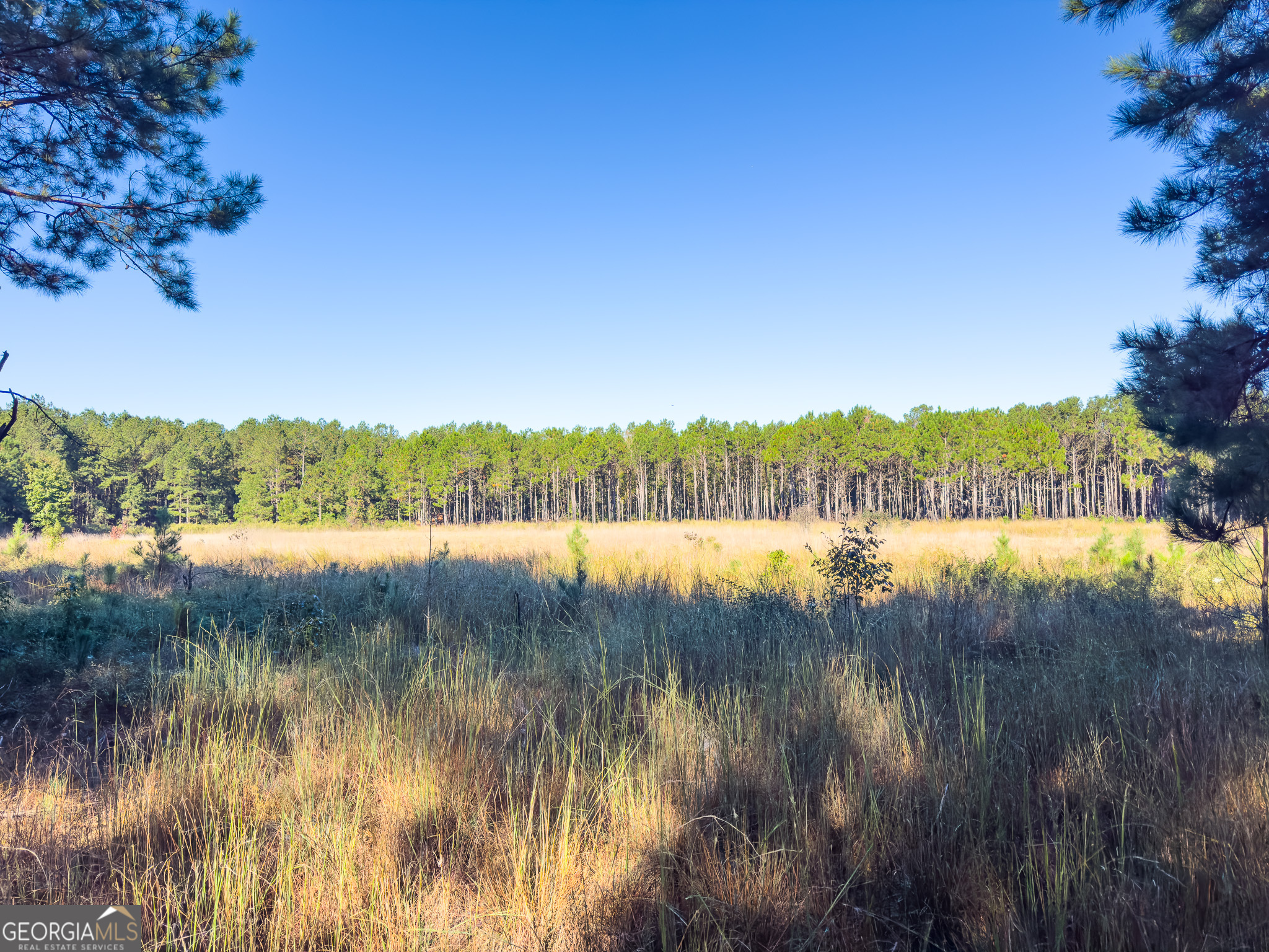 0 Penn Lane Waynesboro, GA 30830 - Photo 5 of 31 a view of lake with green space