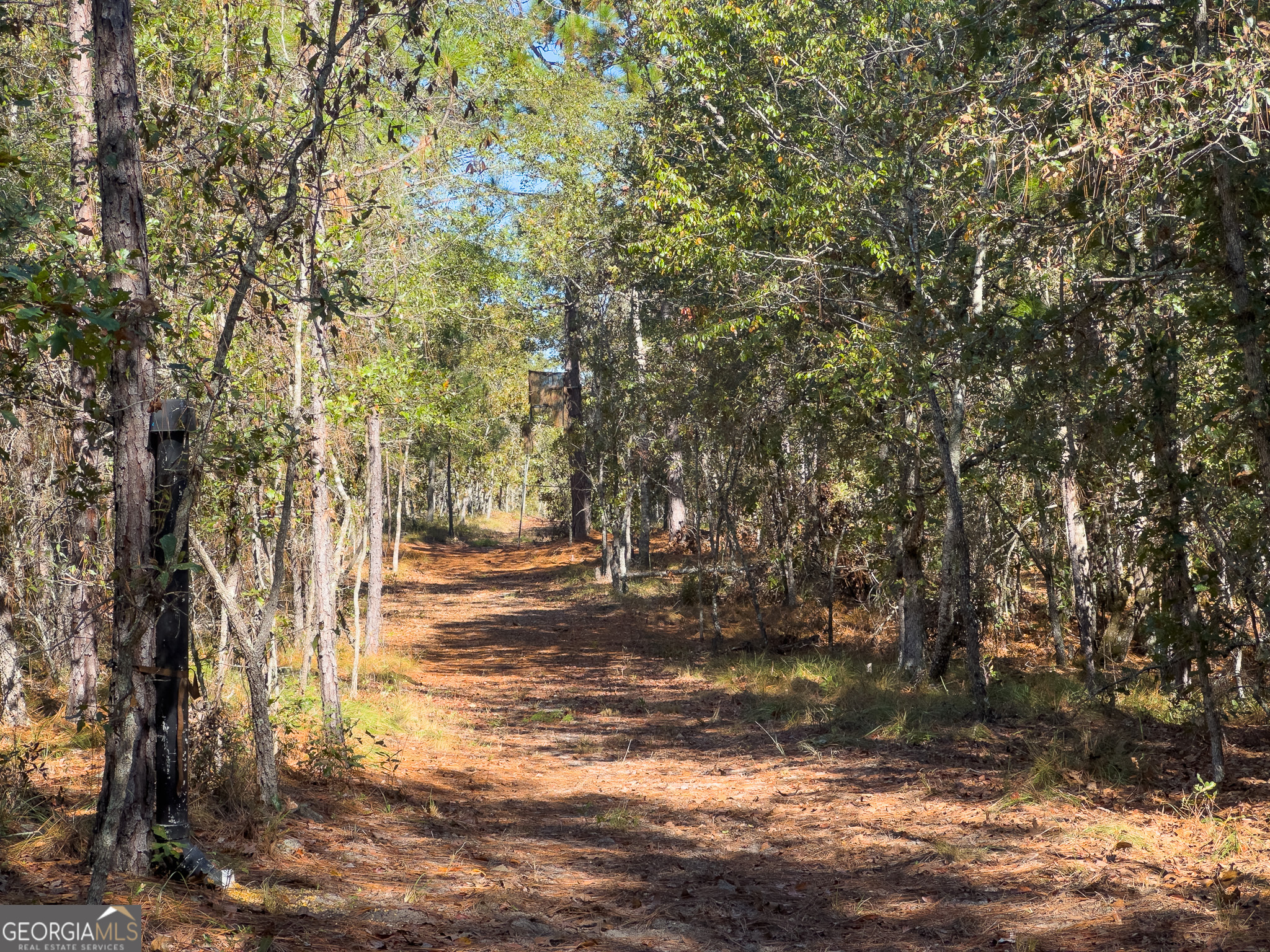 0 Penn Lane Waynesboro, GA 30830 - Photo 7 of 31 a view of yard with trees