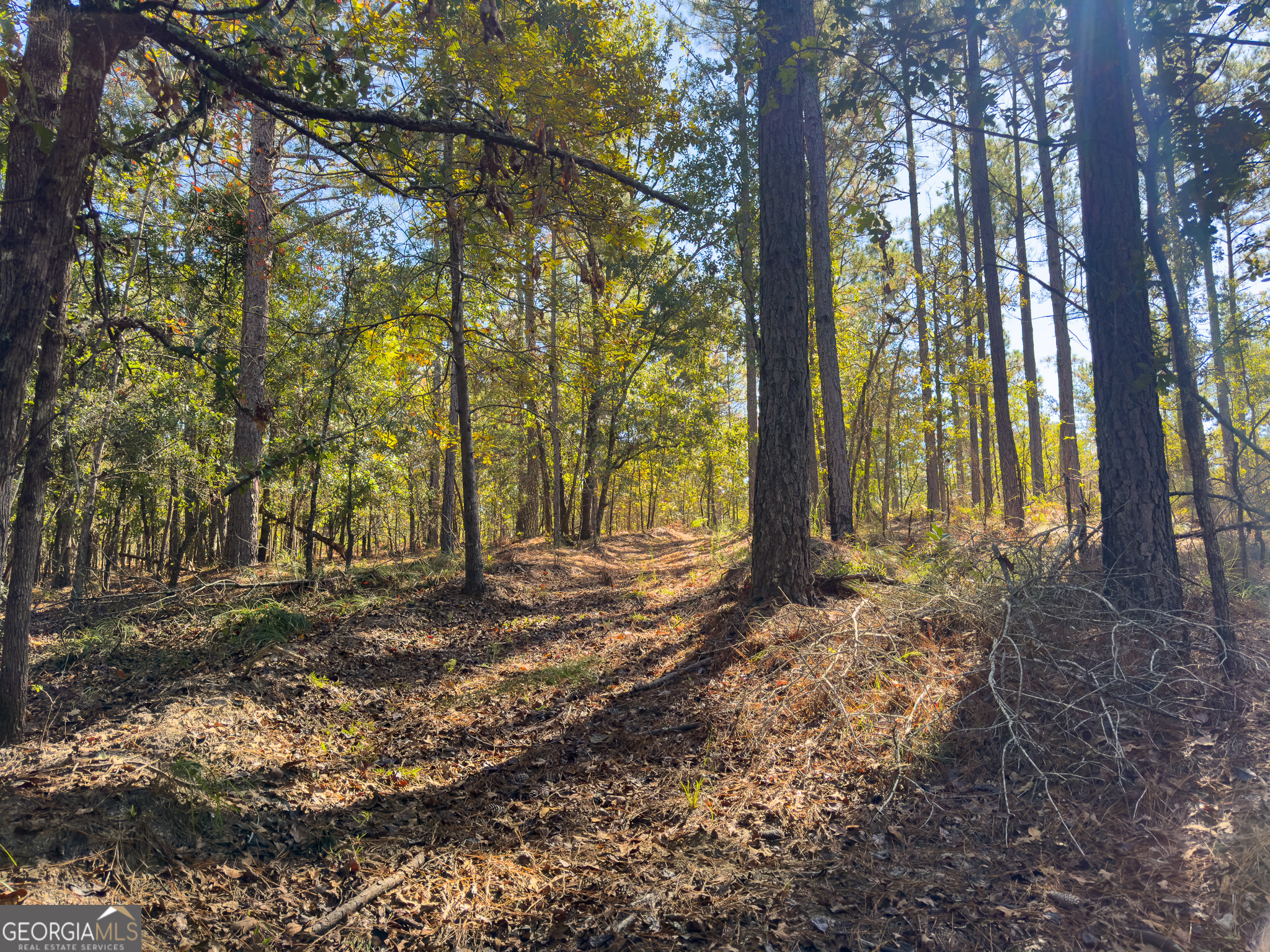 0 Penn Lane Waynesboro, GA 30830 - Photo 8 of 31 a backyard of a house with lots of green space