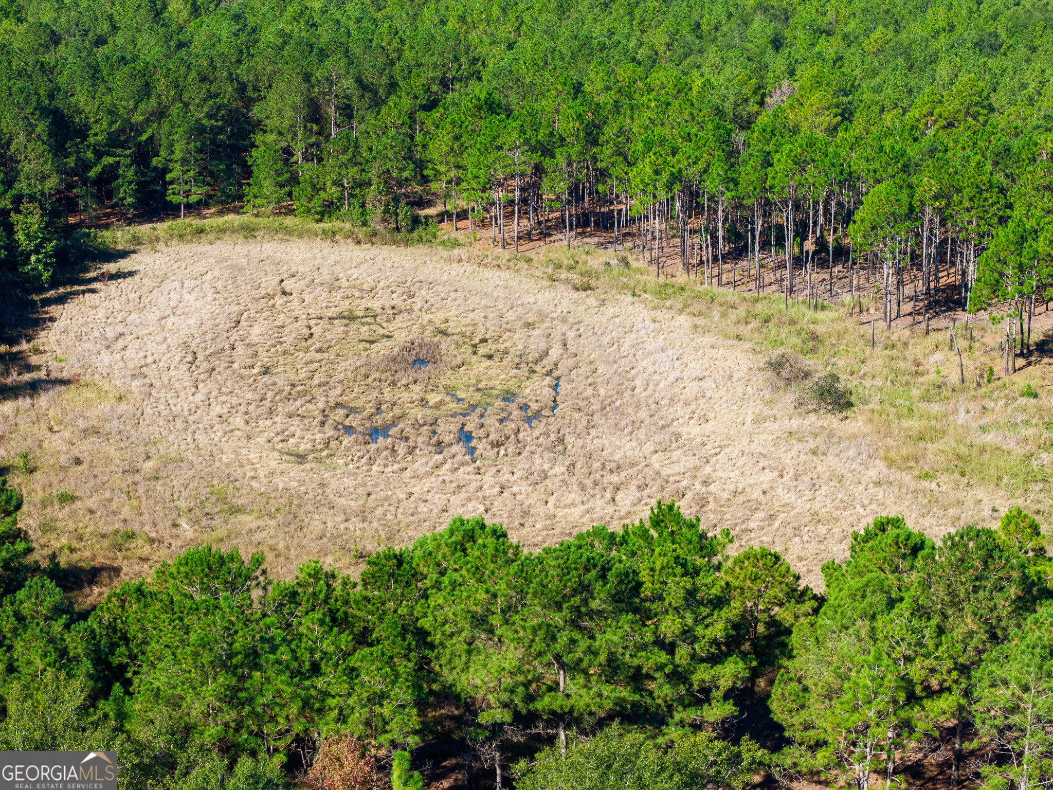 0 Penn Lane Waynesboro, GA 30830 - Photo 9 of 31