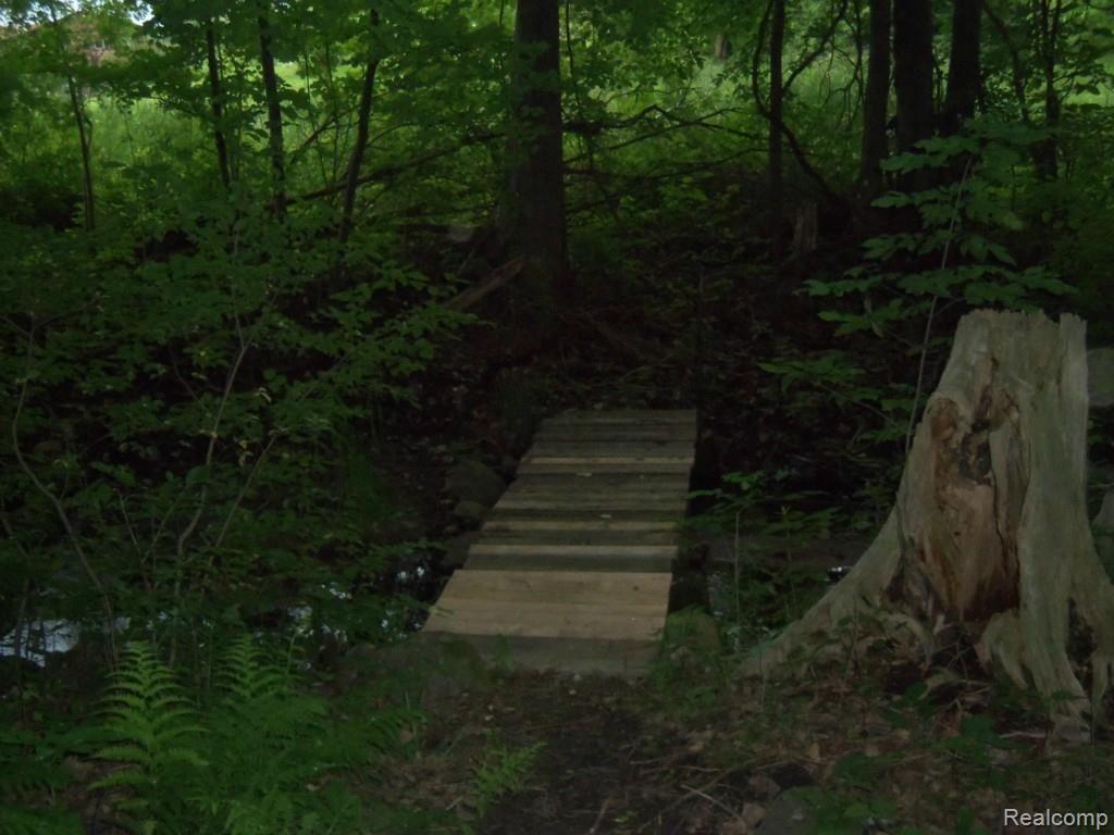 5674 Hasslick Road North Branch, MI 48461 - Photo 17 of 21 Creek.jpg