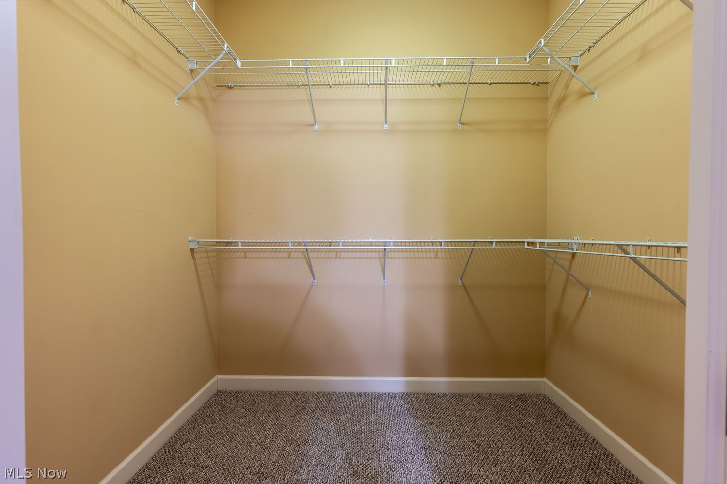 604 Rundle Street Lagrange, OH 44050 - Photo 24 of 45 walk-in closet in primary bathroom