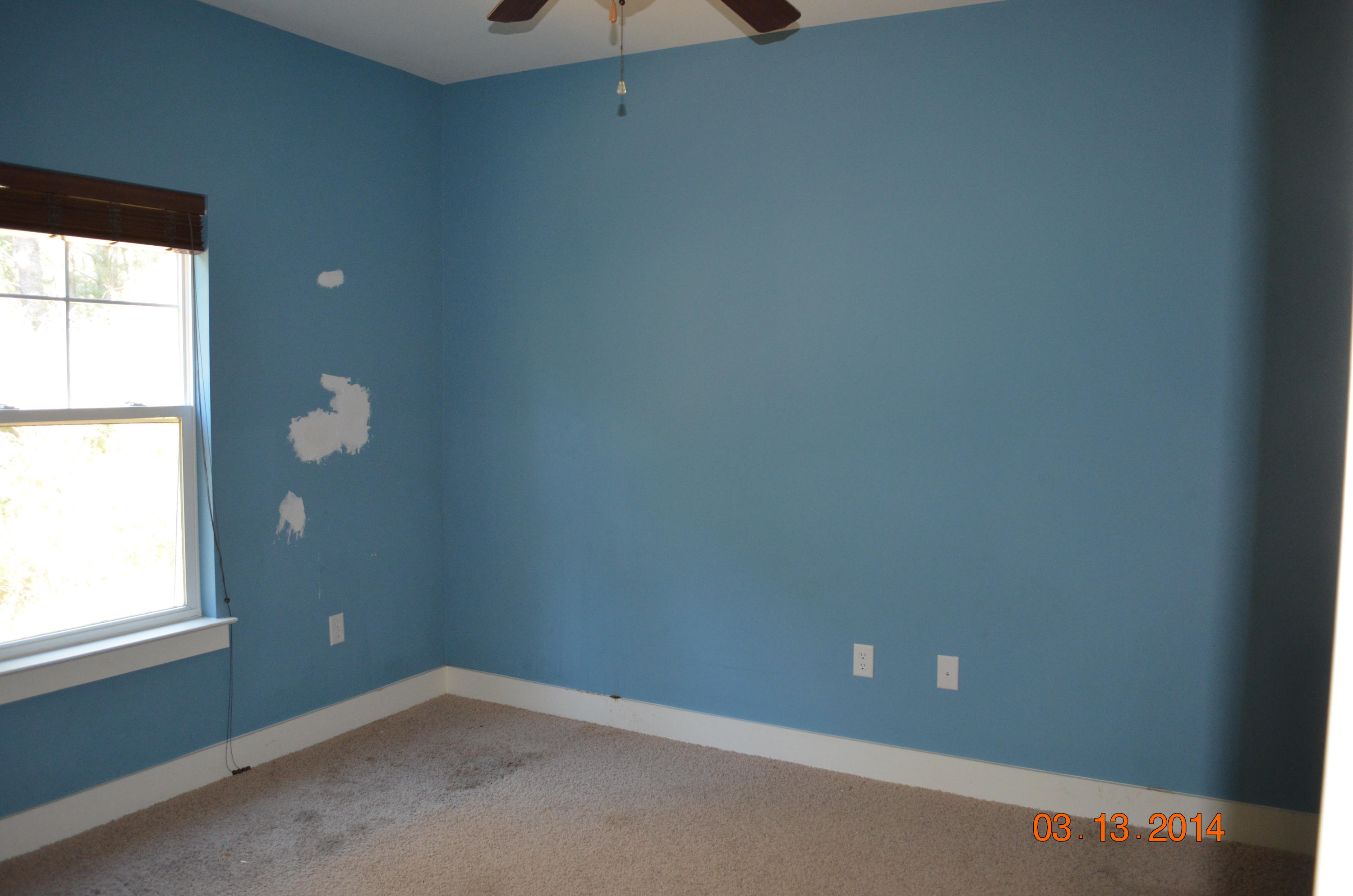 55 Hackberry Way Santa Rosa Beach, FL 32459 - Photo 6 of 13 DSC_0025