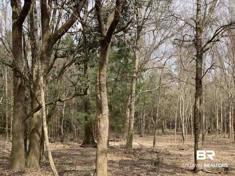 17525 Joe Gottler Road Elberta, AL 36530 - Photo 8 of 44