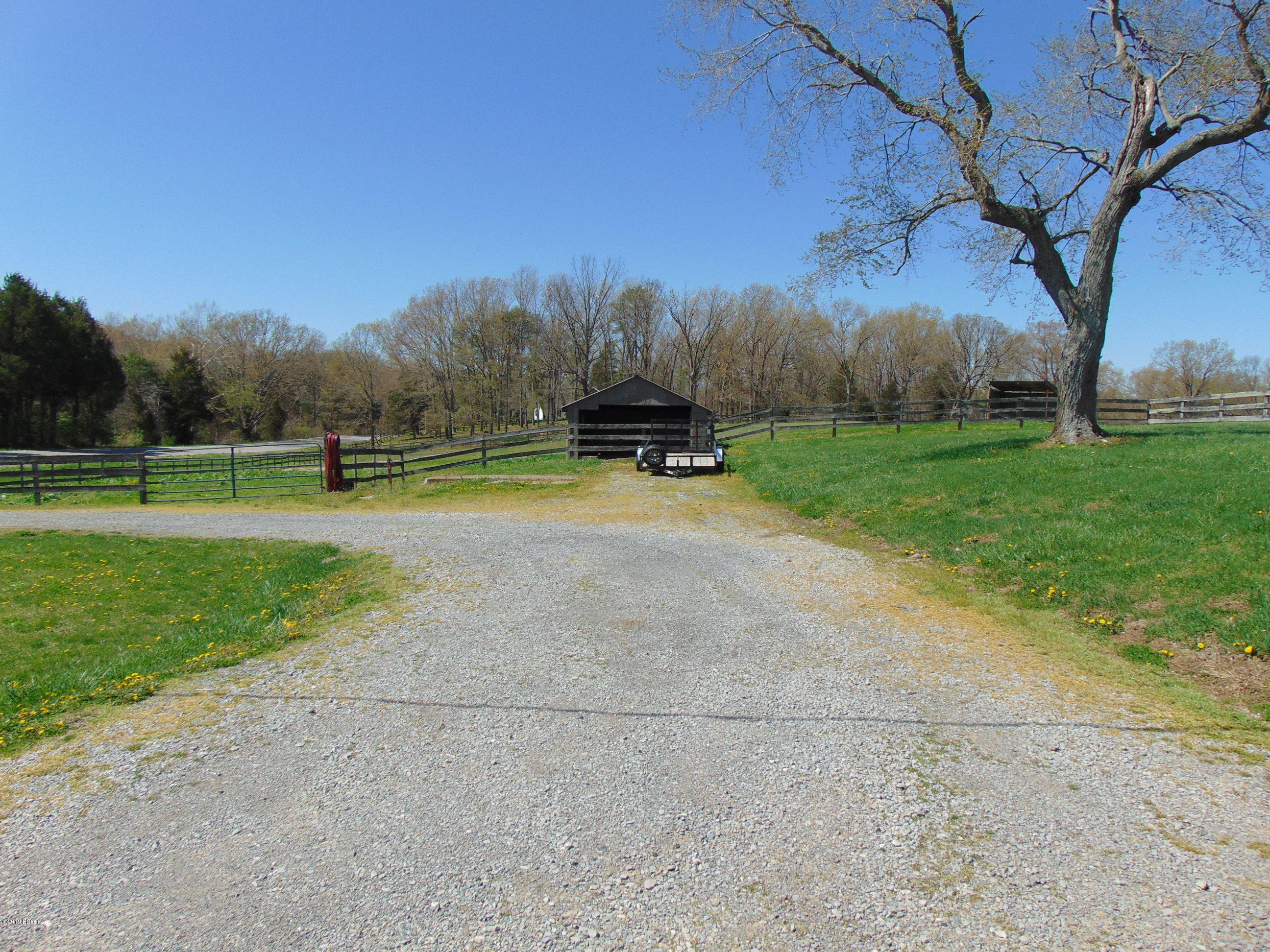 4252 Stonefort Road Creal Springs, IL 62922 - Photo 43 of 50 Gallery Image 43