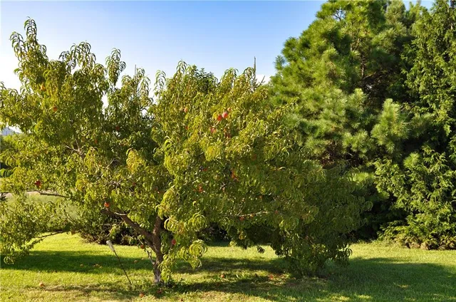 $529,900 | 3780 Northwest State Route, Maysville, MO 64469