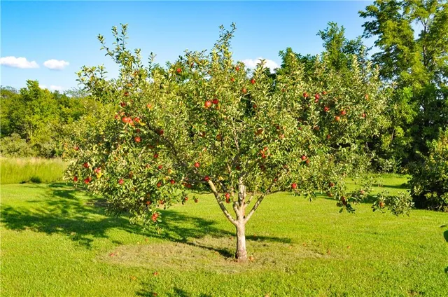 $529,900 | 3780 Northwest State Route, Maysville, MO 64469