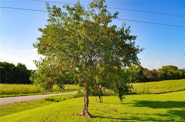 $529,900 | 3780 Northwest State Route, Maysville, MO 64469