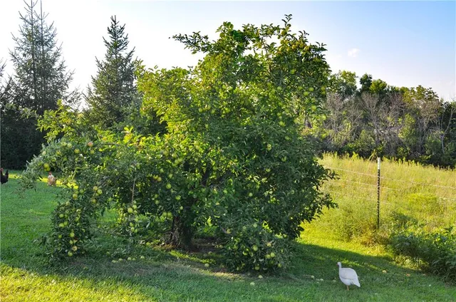 $529,900 | 3780 Northwest State Route, Maysville, MO 64469