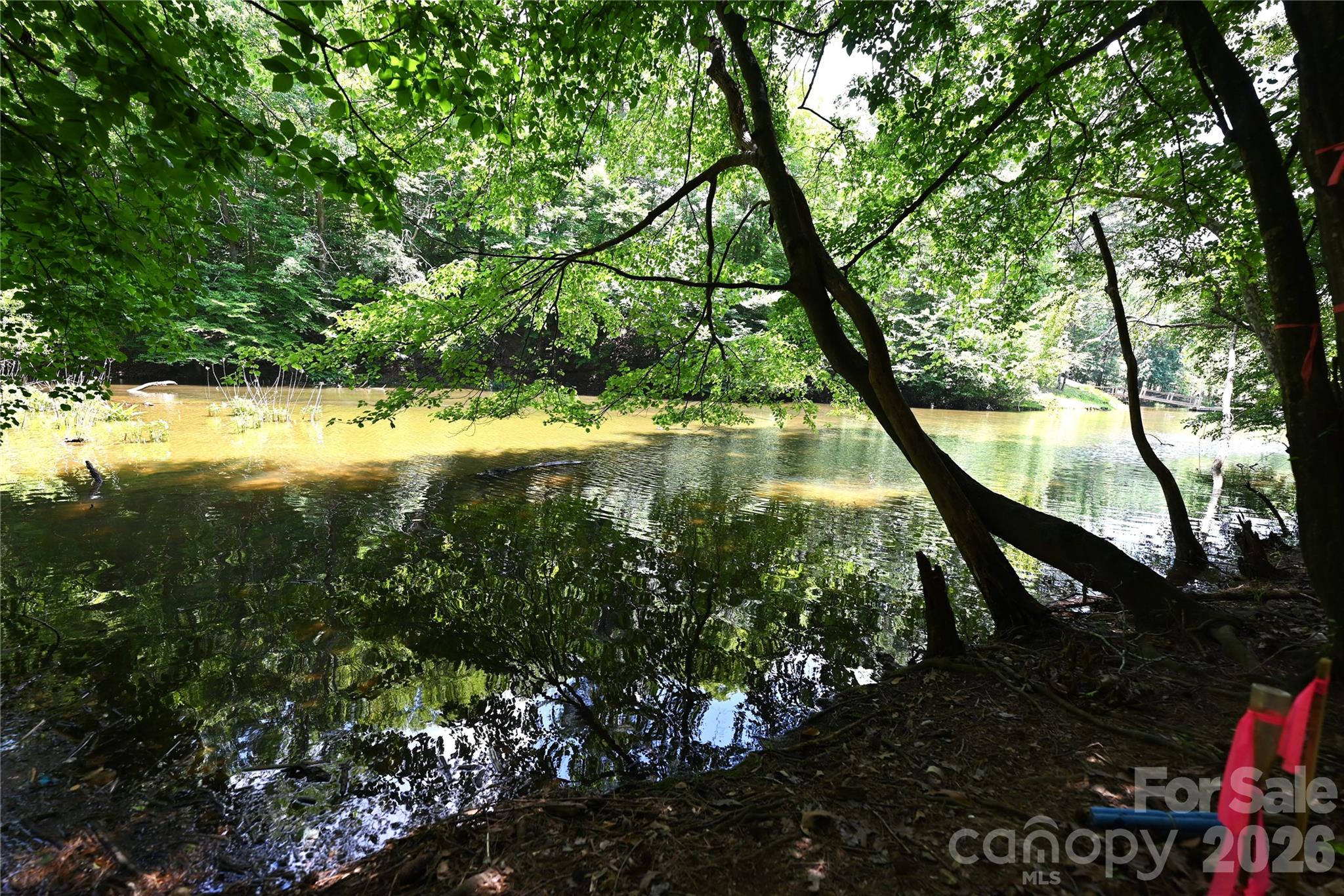 179 Riverwalk Road, Unit 27 Stony Point, NC 28678 - Photo 4 of 15