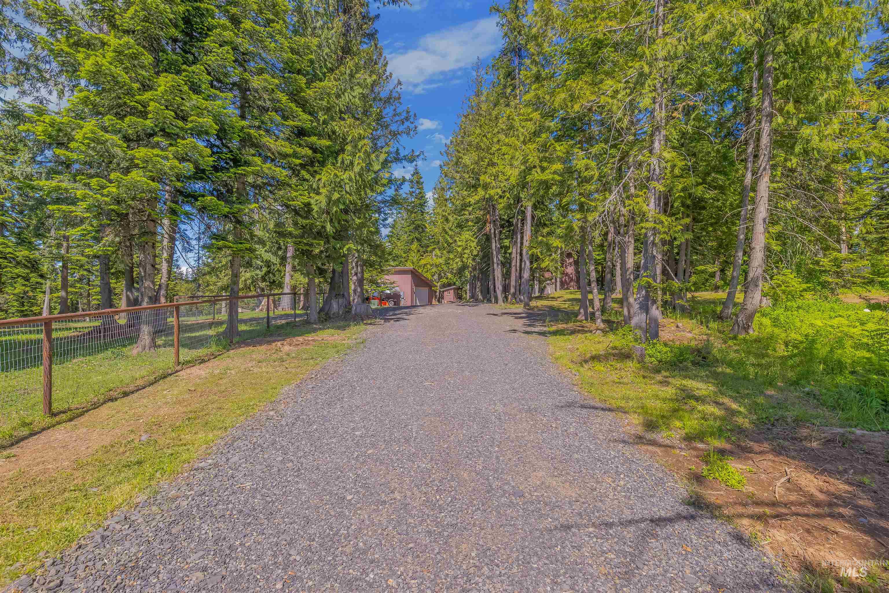 1442 Band Mill Road Orofino, ID 83544 - Photo 3 of 49