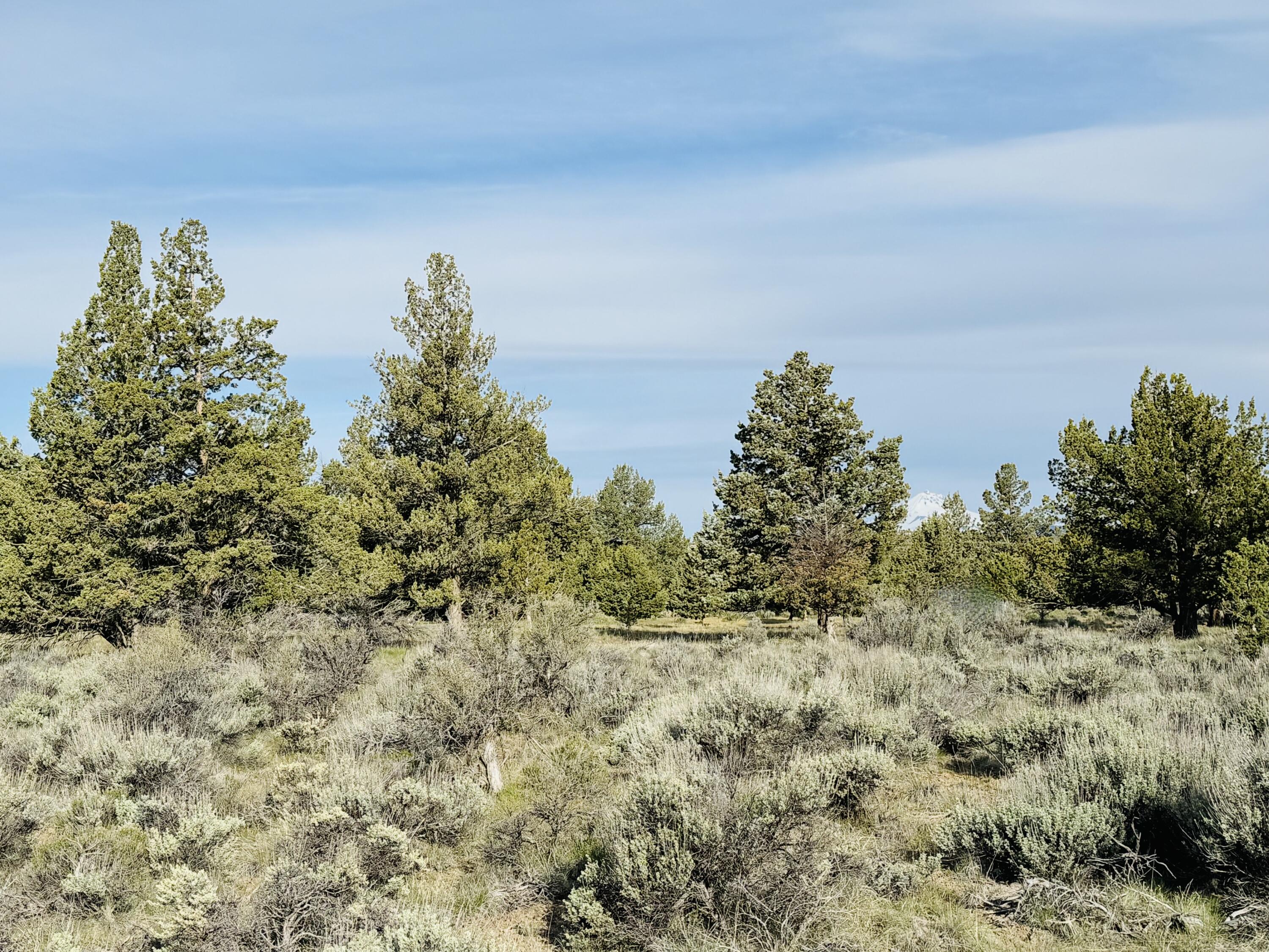 00900 Southwest Squaw Flat Road Culver, OR 97734 - Photo 21 of 24 IMG_6384
