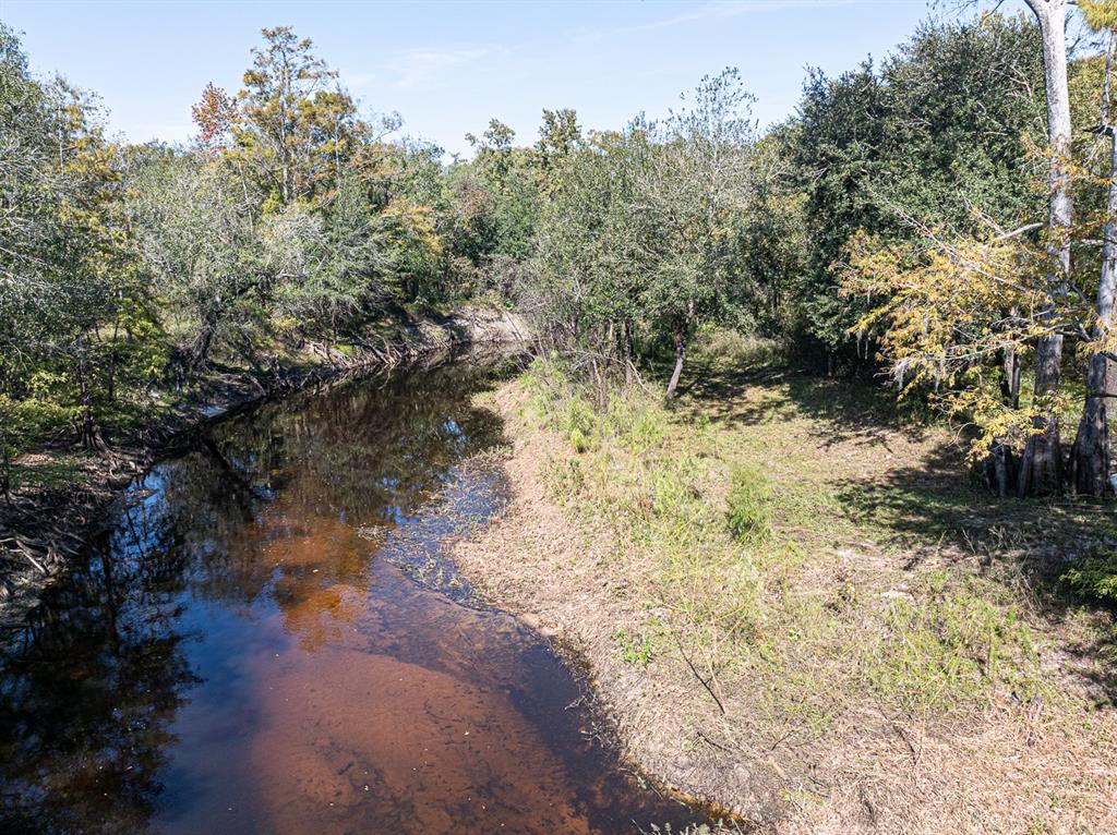 34095 Hyatt Road Dade City, FL 33523 - Photo 16 of 41 a view of a yard with a tree